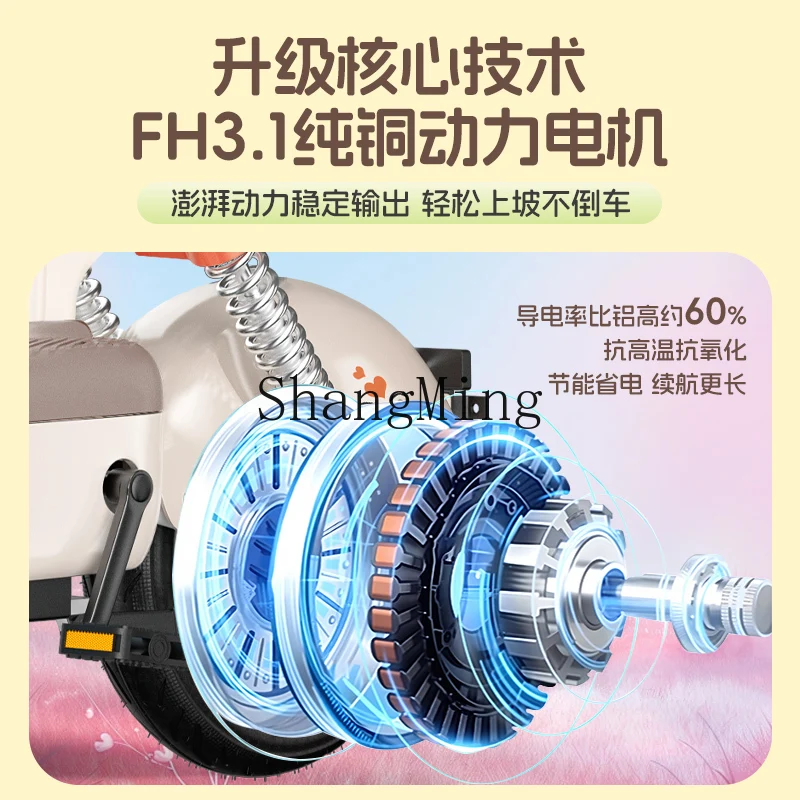 LXY جديد يوان الكون مركبة كهربية دراجة كهربائية صغيرة معيار وطني جديد