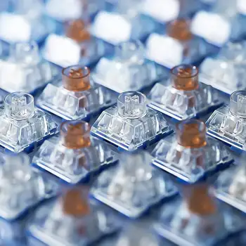 8 最佳銷售 凱爾 - №8