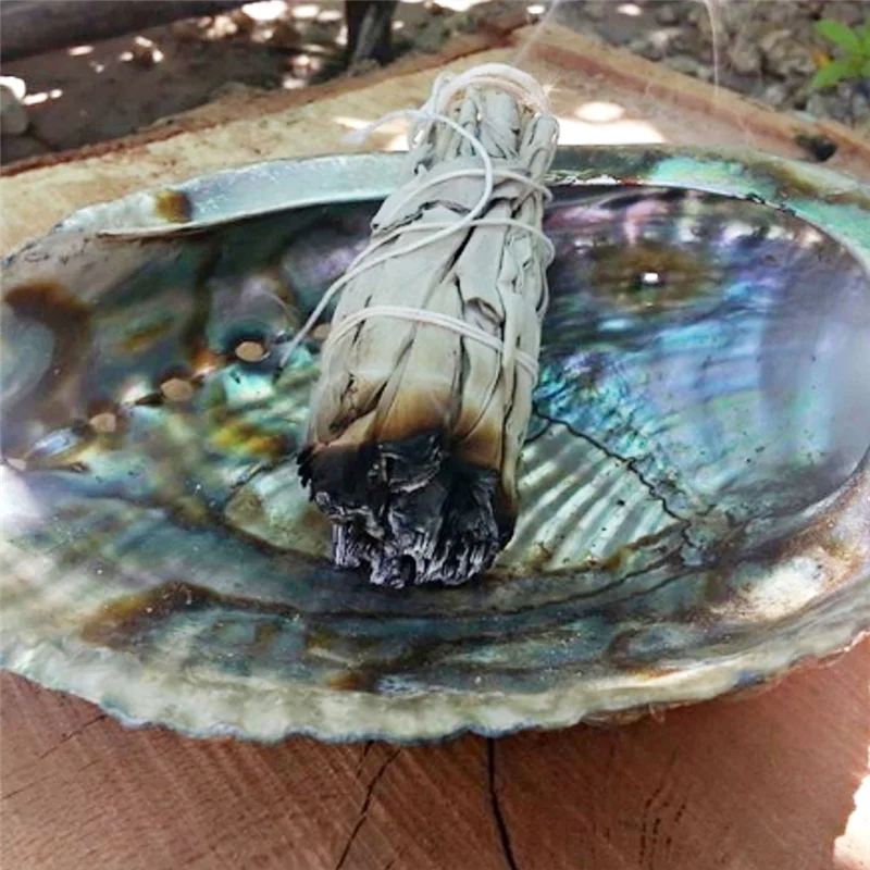 HGFLE-Incense White Sage Bundle Smudge Sticks Home Purification Spiritual Incense Sticksmeditation Portable Energy Cleansing view 4