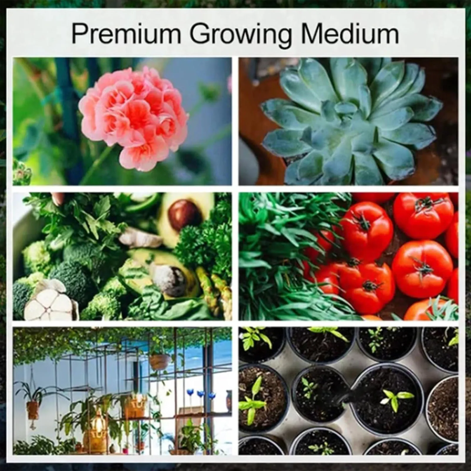 حديقة التربة جوز الهند النخالة ثقافة بدون تربة بدائل وسائل الإعلام المغذيات للبستنة في الهواء الطلق لحقيبة نباتات البذور البستنة