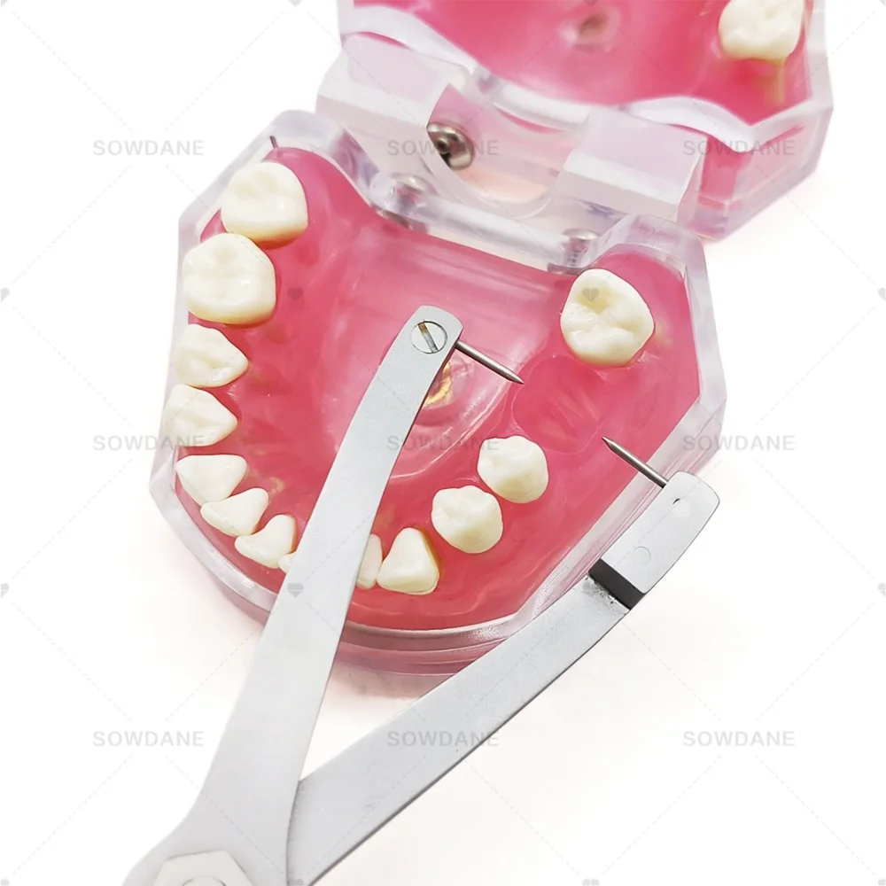 H Lab Implants Ridge Mapping Caliper Lab Implants Surgicals Calipers Implant Gauge Stainless Steel Lab Pliers Tools s