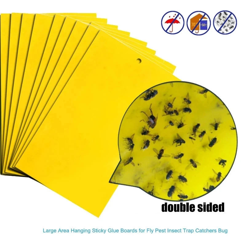 Pegatina de doble cara para pegar insectos, tablero adhesivo amarillo, atrapamoscas, 5-20 unidades