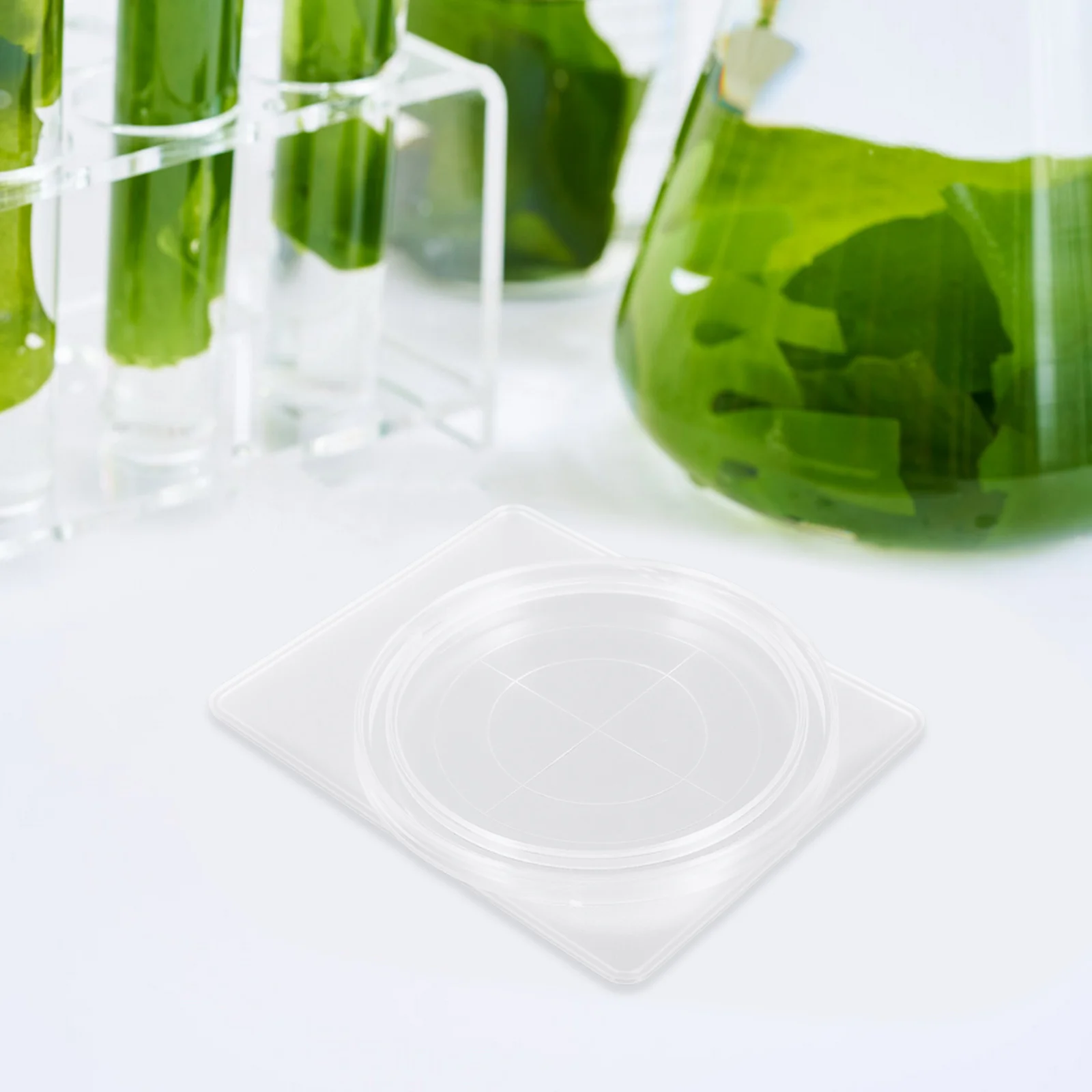 

Filter Lab Sample Storage Plastic Sampling Container Laboratory Environmental Box