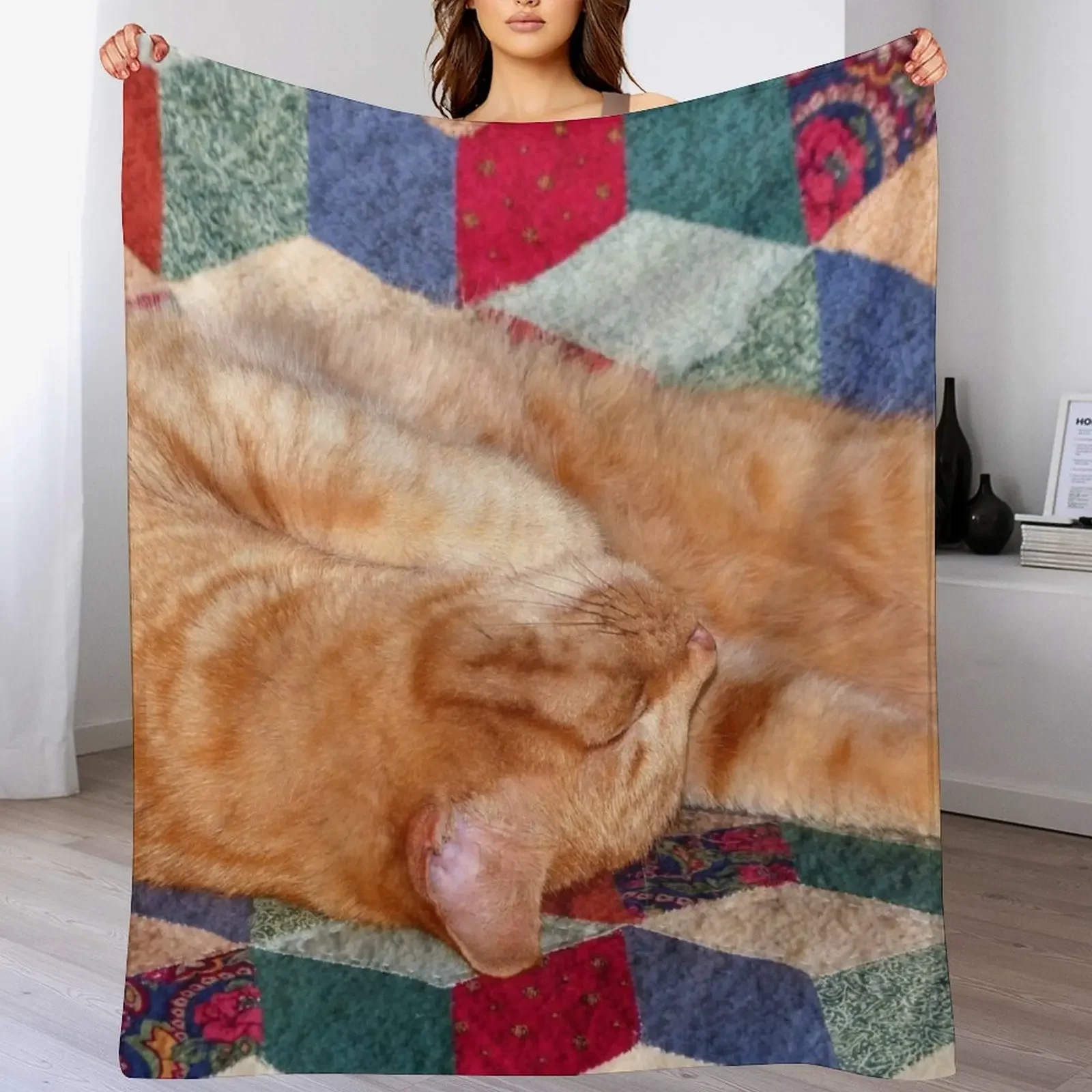 Ginger Cat Napping Throw Blanket Outdoor Soft Blanket for Picnic Beach Camping