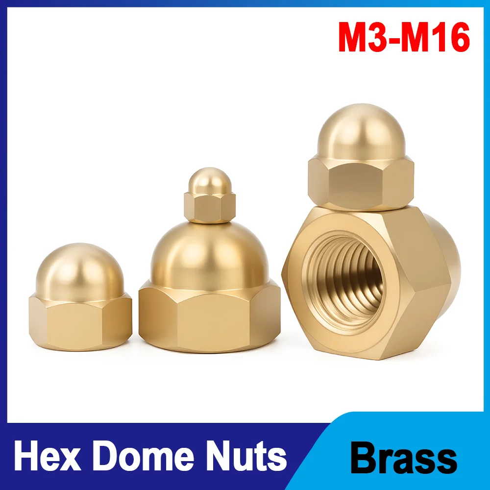 M3 M4 M5 M6 M8 M10 M12 M14 M16 Brass Hex Dome Cap Nuts Decorative Acorn Protection Nut For Screw Bolt Metal Protector Fasteners