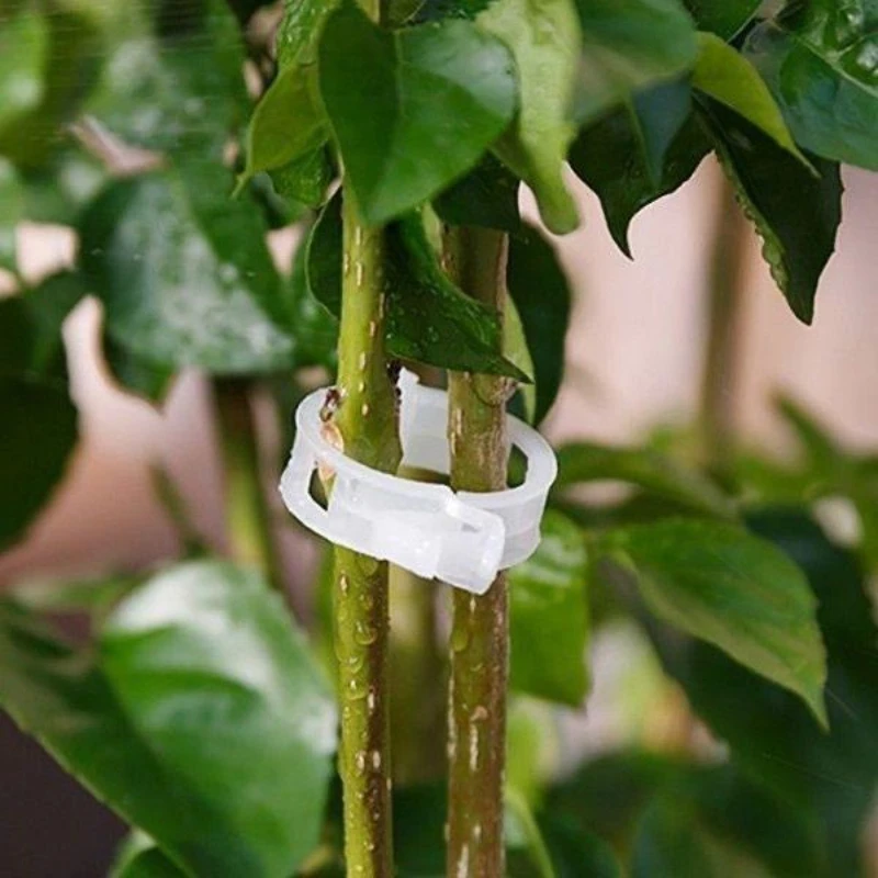 

20/50/100/150PCS Plastic Plant Clip Binding Branch Vine Clip for Garden Hanging Tomato Melon Fruit Vine Supporting Fixing Clamp