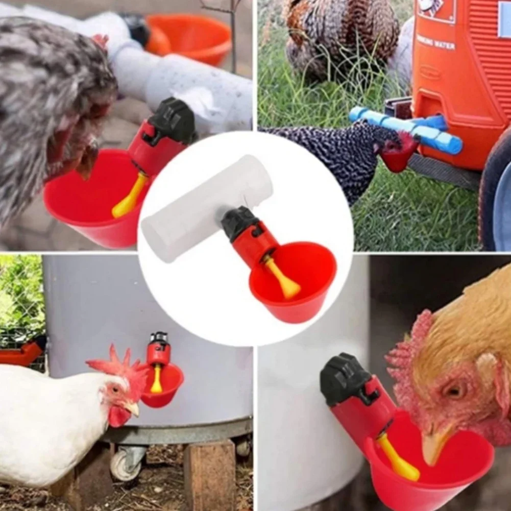 Chicken Drinking Cup Automatic Chicken Drinker Tee Connector Plastic Poultry Nipple Drinkers for Rabbits Duck Farm Equipment