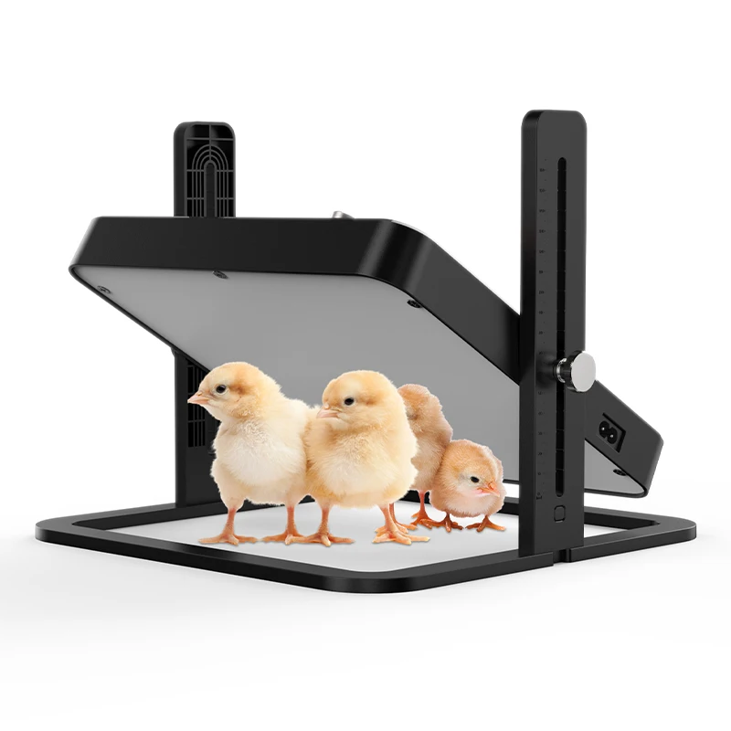 

WONEGG Wholesale Poultry Heater Electric Project Commercial Chicken Brooders Plates Price in China
