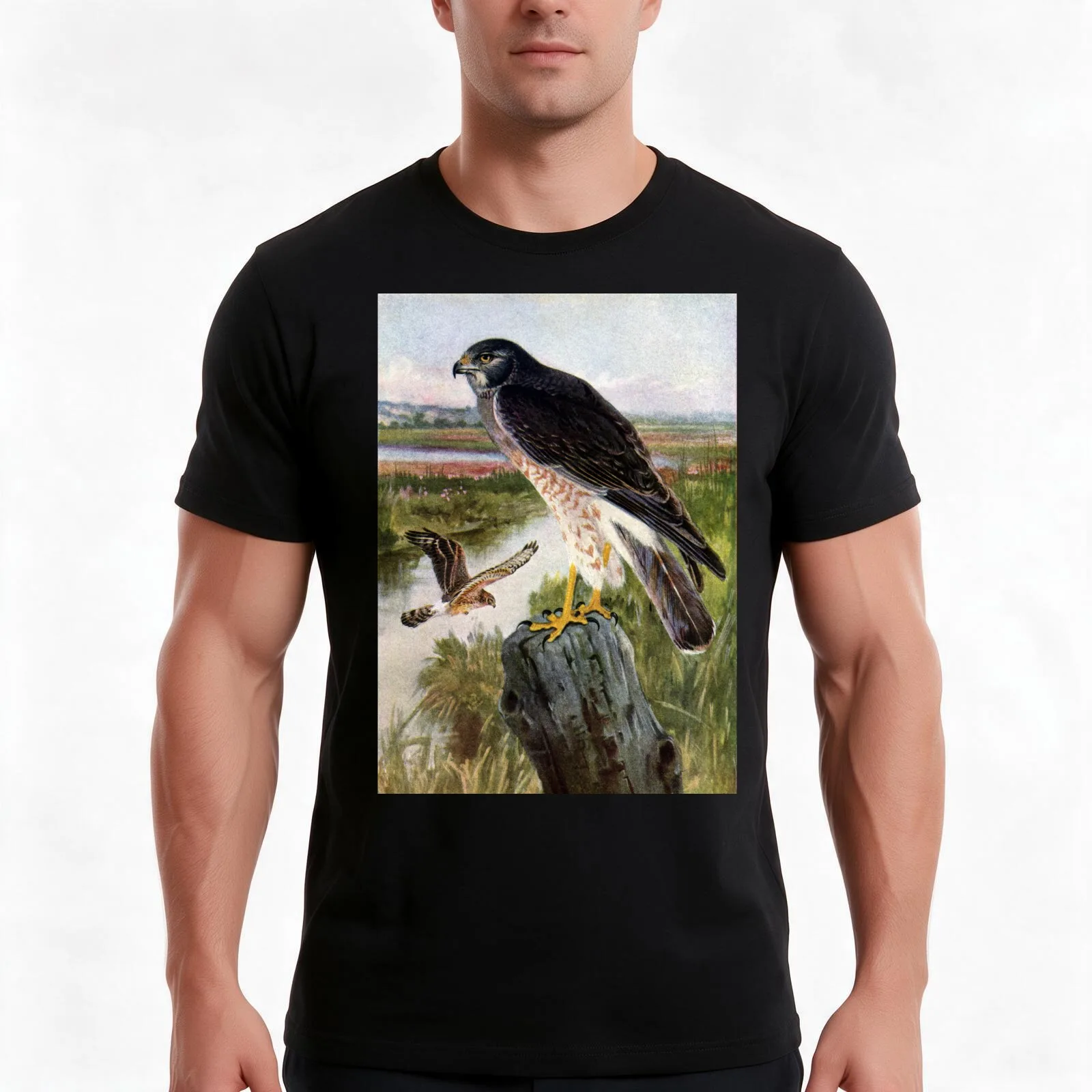 Marsh Hawk in Wetlands T-Shirt, Summer Casual Cotton Tee, Oversized Streetwear Tops, Vintage Graphic Print, Unisex Men Women