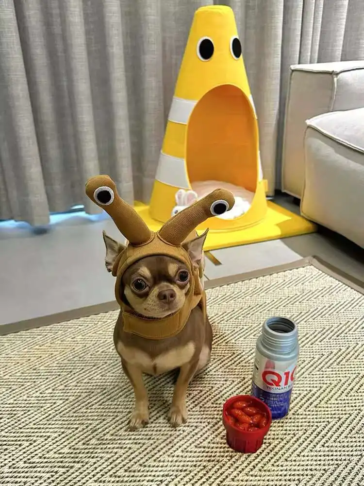 Ropa para mascotas, disfraz de caracol bonito, ropa para perros, Otoño Invierno, fiesta diaria, gatito, vestido creativo divertido