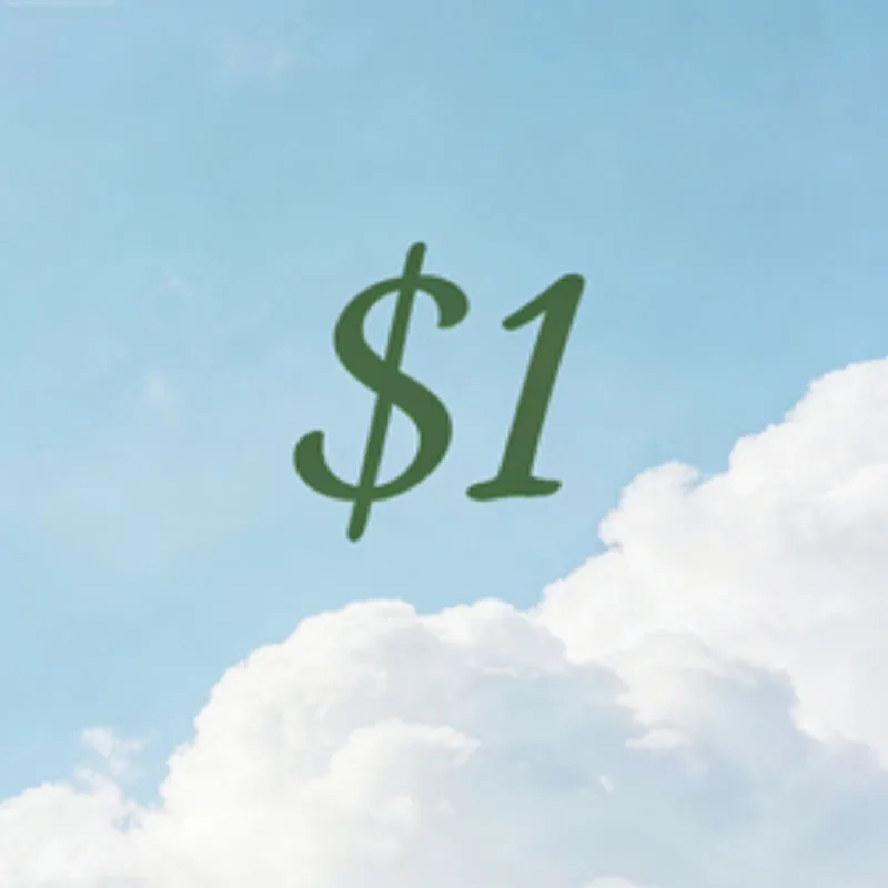 

Доплатите за доставку вашего заказа: 1 доллар США.