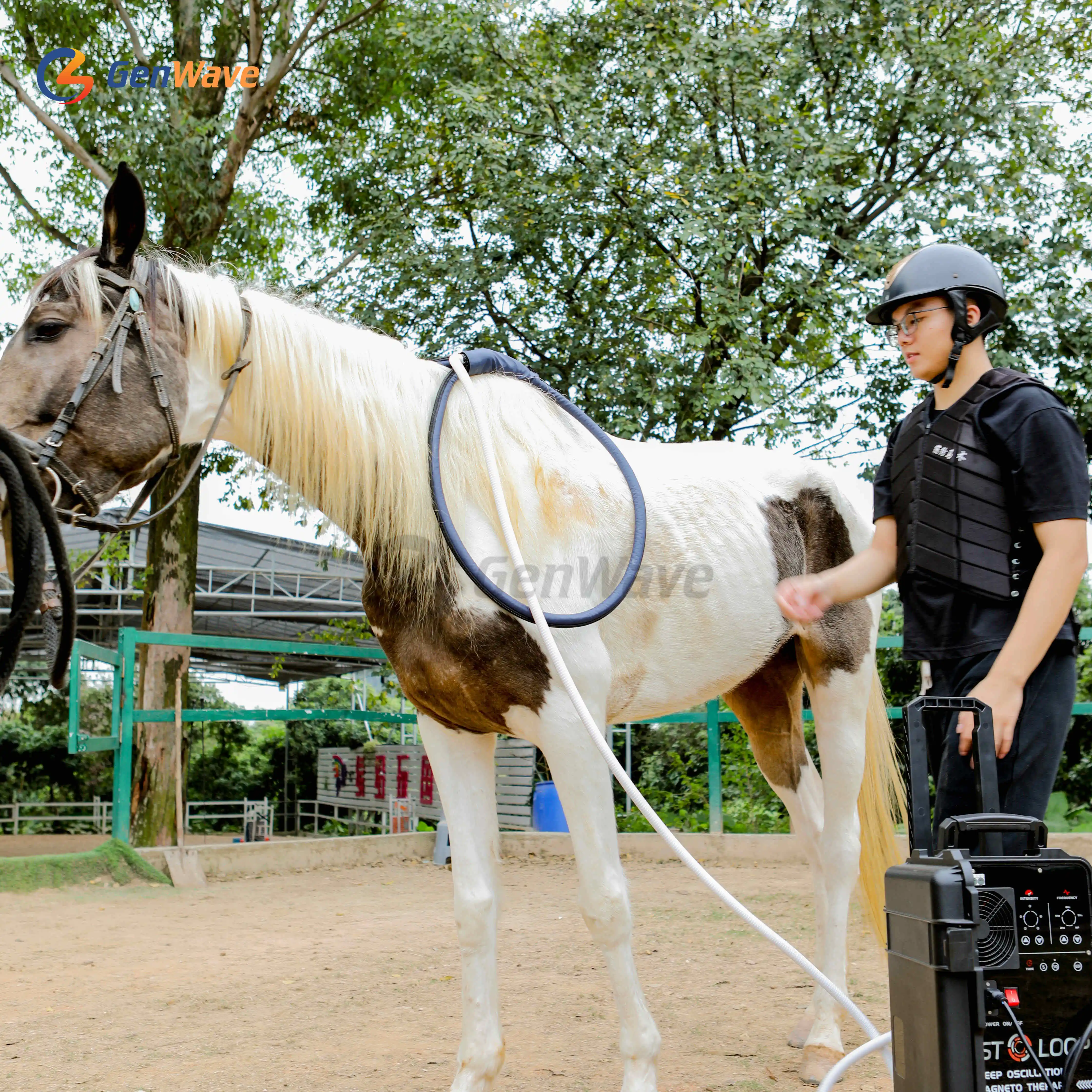 Portable Pemf Magnetic Therapy Device Pmst Loop Horse Magnetic Therapy Pemf Machine