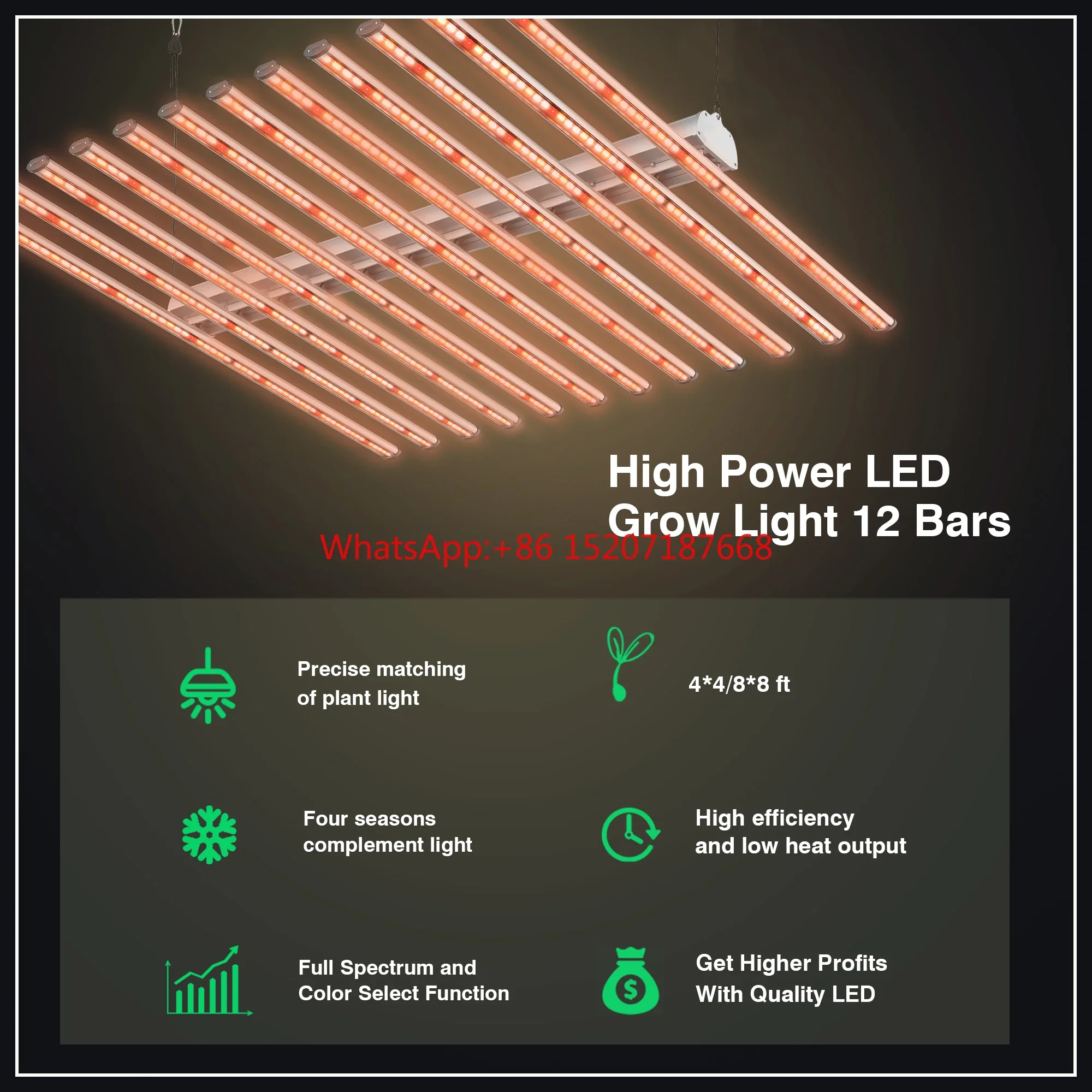 Oświetlenie LED do uprawy roślin medycznych o pełnym spektrum w pomieszczeniach o mocy 720 W, wzrost przemysłu komercyjnego