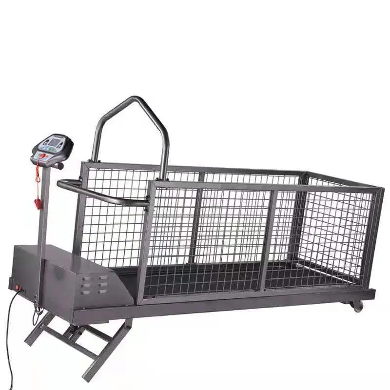 

Various Models Dog Walking Running Training Treadmill Pet Dog Therapy Equipment Treadmill Pet Rehabilitation Exercise Machine