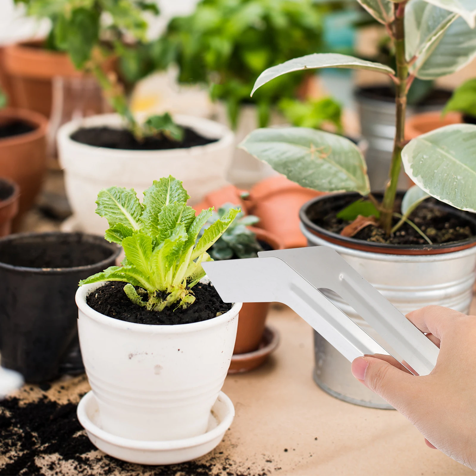 

High-Quality Stainless Steel Plants Remove Tool Comfortable Ergonomic Transplanting Pliers Garden Accessories