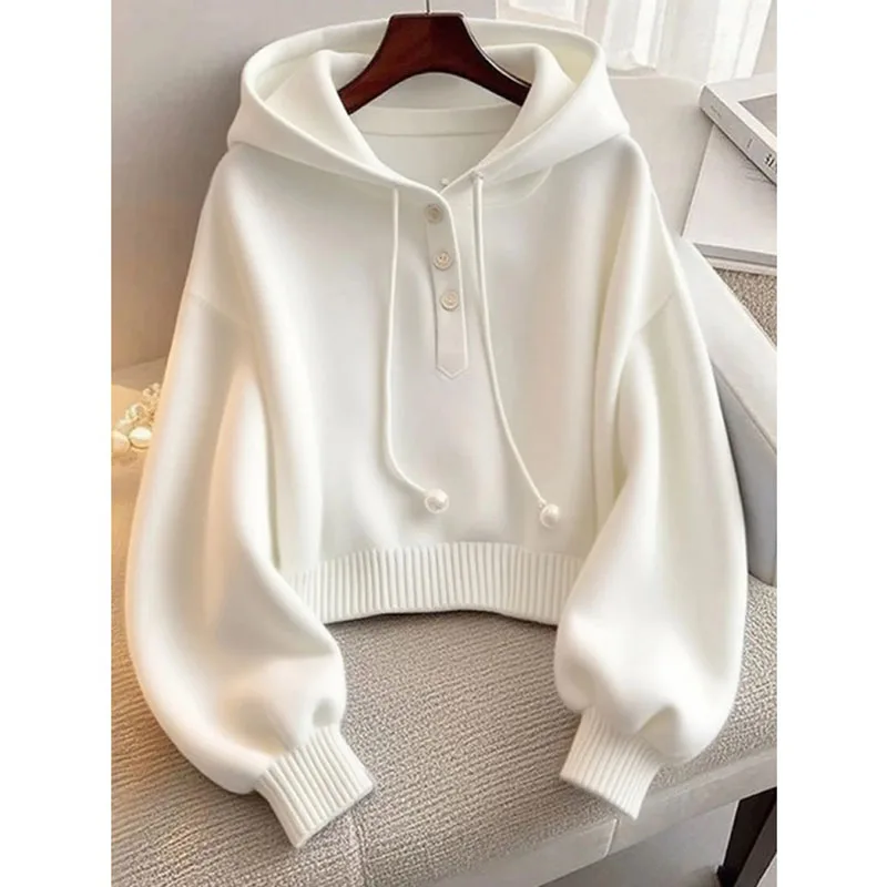 2026 خريف/شتاء جديد وصول المرأة هوديي جودة عالية الصلبة مقنعين البلوز الفاخرة المنزل في الهواء الطلق بلوزة عصرية غير رسمية #1