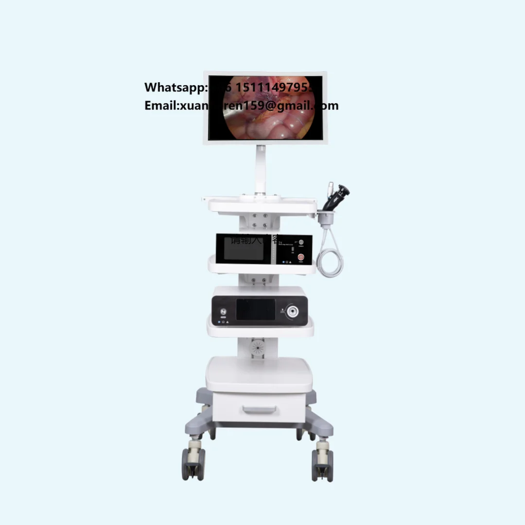 Factory Price 24 Inches HD Veterinary Endoscope Imaging System  for Animal Diagnosis and Surgery
