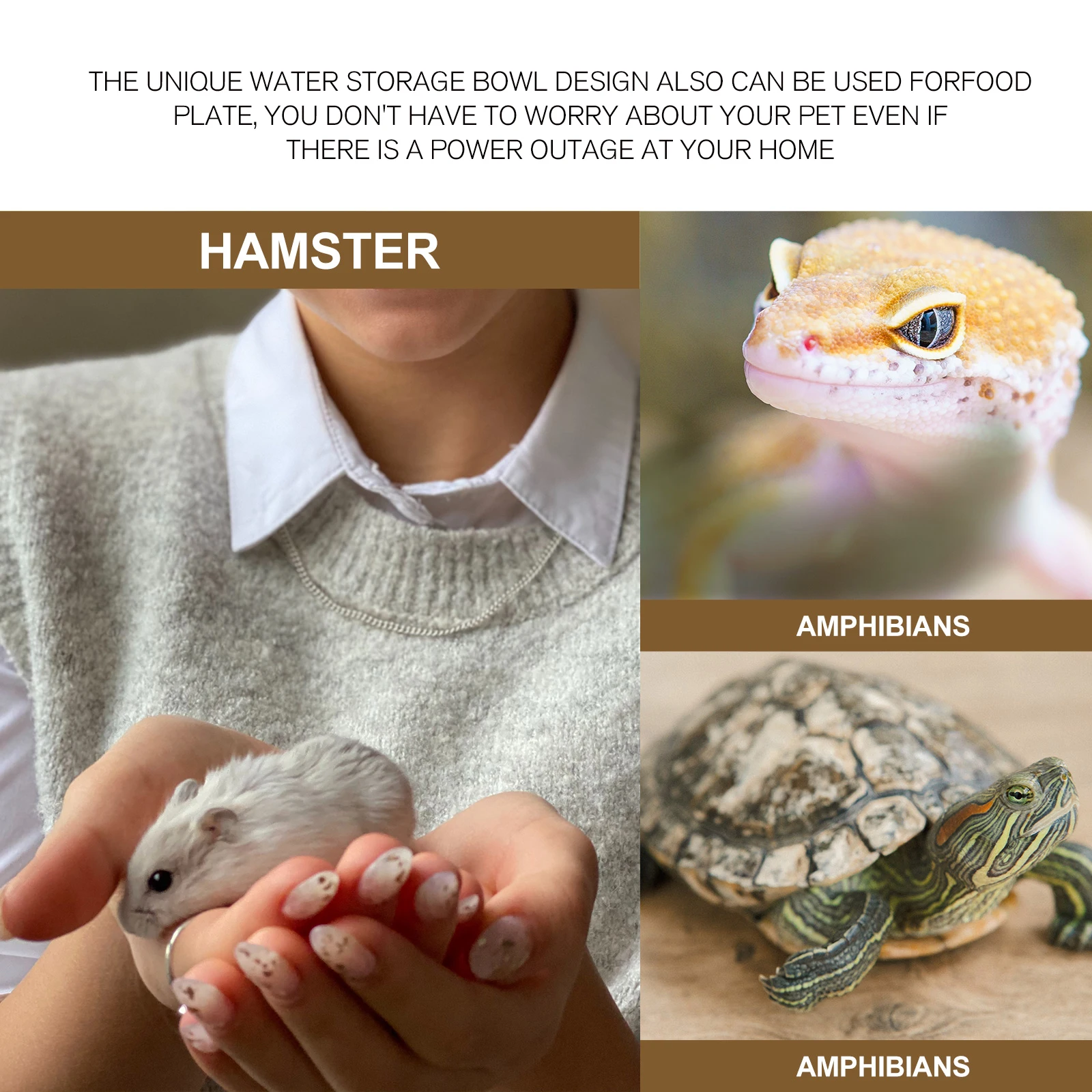

Tortoise Automatic Water Feeder Pet Waterer Lizard Dish Corner Bowl for Reptiles