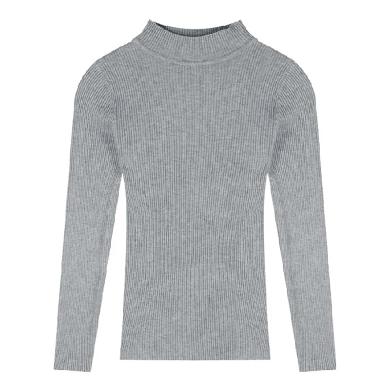 Herbst Winter Neue Dame Slim Fit Gestrickte Tops Mädchen Klassische Pullover Pullover Frauen High Neck Unterwäsche Pullover Kleidung