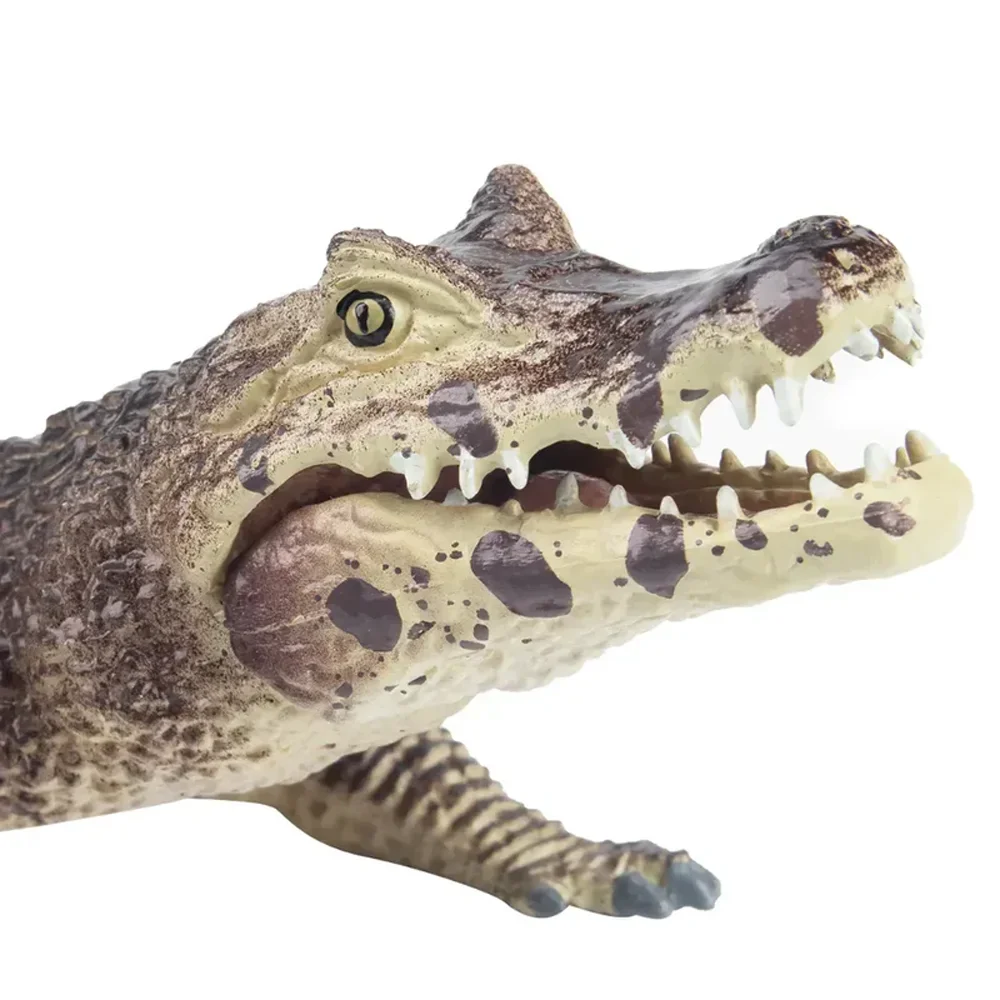 Toymany Simulatie Zwarte Kaiman Reptiel Diermodel Speelgoed Mini Figuren Poppen Actie Beeldjes Speelgoed Kinderen Gift Taart Decoratie