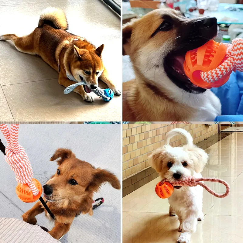 Dog pet hand-pulled cotton rope leaky toy ball rope knot teeth cleaning ball side grazing gold bristle bite resistant teeth