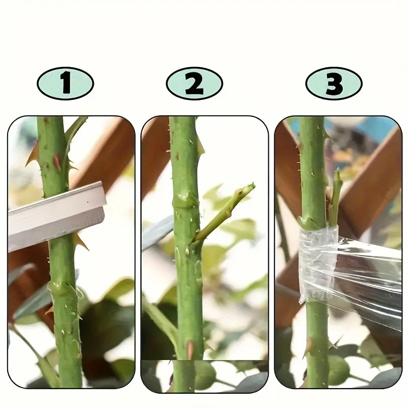 4-Pack Grafting Film Plastic Film Stretching Film Self-Adhesive Fruit Tree Grafting Film Small Roll Winding Film