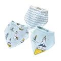 1009 Sailboat