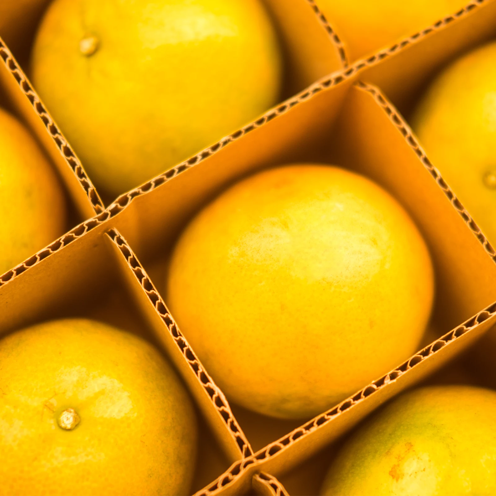 Рисунок 2 - 1 комплект, картонные разделители для доставки