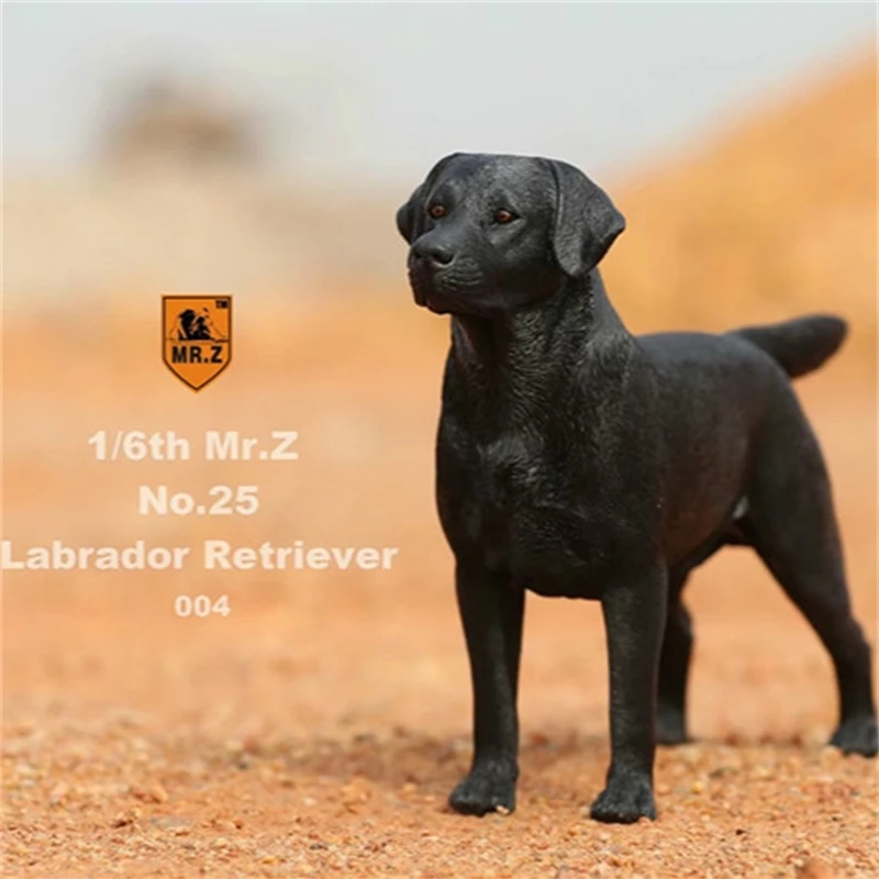 1/6 Schaal Mr.Z Diermodel Hoge Imitatie De Labrador Retriever Hond Voor 12' Action Figure Body Scene Accessoire ﻿