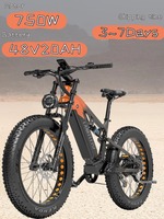 Lankeleisi RV800PLUS Electric Bicycle 750W Powerful Motor 48V20A Samsung Battery 26inch Fat Tire Adult All Terrain Electric Bike