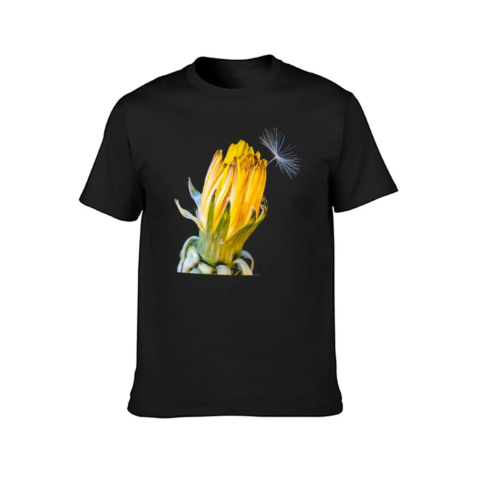 A very beautiful dandelion. T-Shirt heavyweights oversized for a boy mens plain t shirts