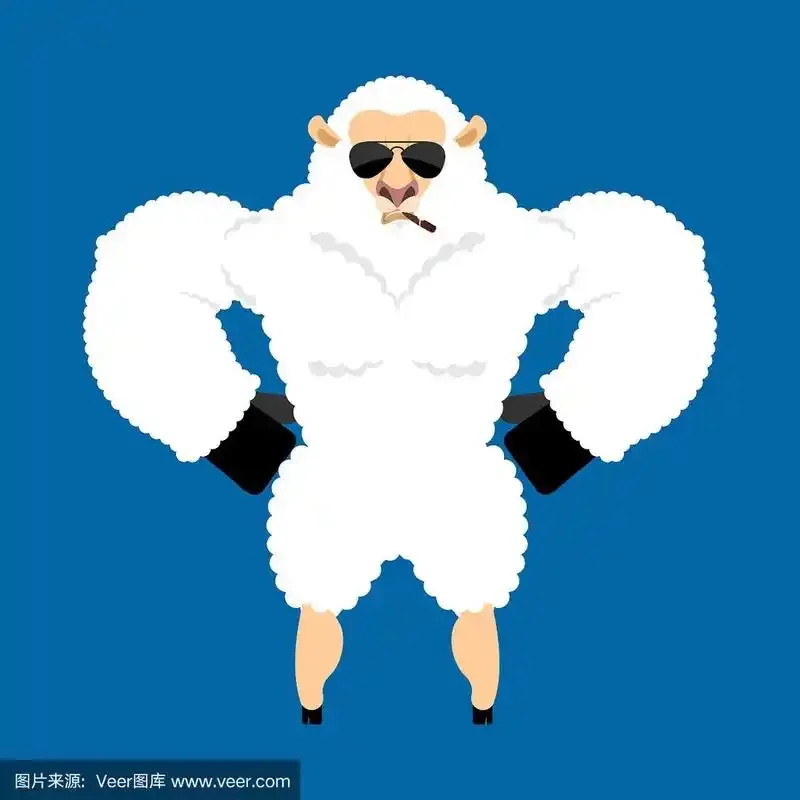 

Aluminium Front Rear Shocks Damper Kit for Tamiya DT-02 DF-02 TT-02B 1/10 RC Buggy Car Chassis Upgrade Parts