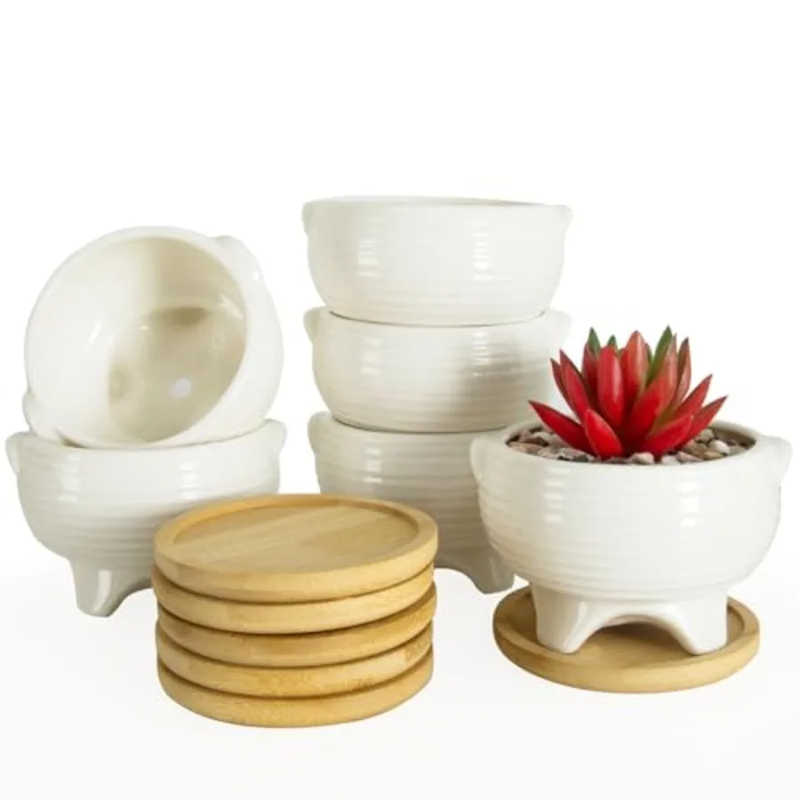 

Succulent Pots 4 Inch Small Plant Pots with Drainage Trays Set of 6 Ceramic Pots for Indoor Plants White Cactus Flower Planter