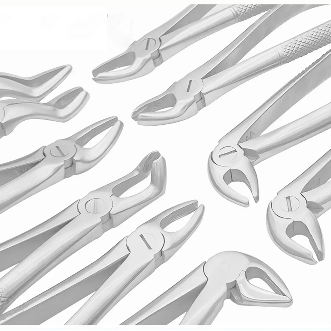 

Forceps Wisdom Teeth Extraction Forceps Good Quality Stainless Steel Textured Teeth Extraction Plier Forceps