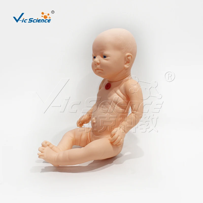 Advanced infant tracheotomy nursing model