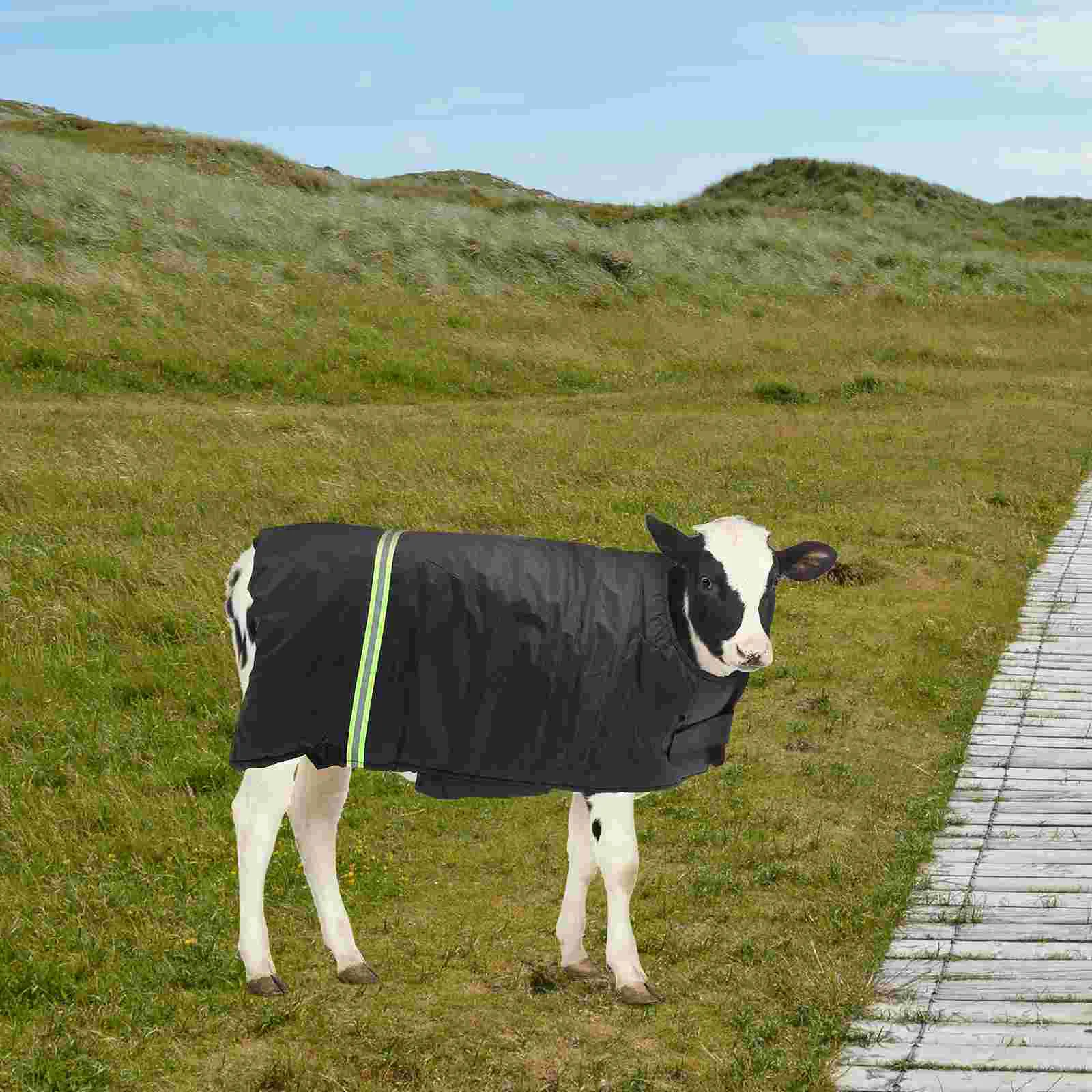 Thickened Calf Vest Warm Clothing Cotton Lamb Belly Black Cow Coat 1.5 3 Months Waterproof Lightweight Pasture