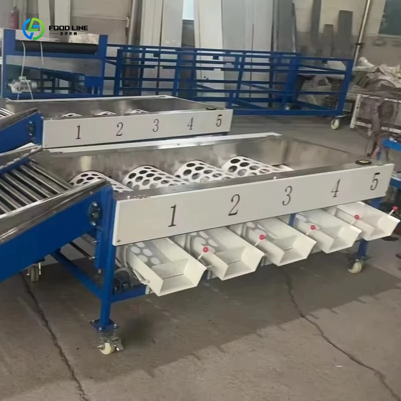 Advanced Fruit and Vegetable Sorting Machine with Cleaning and Drying Functions FL Customized