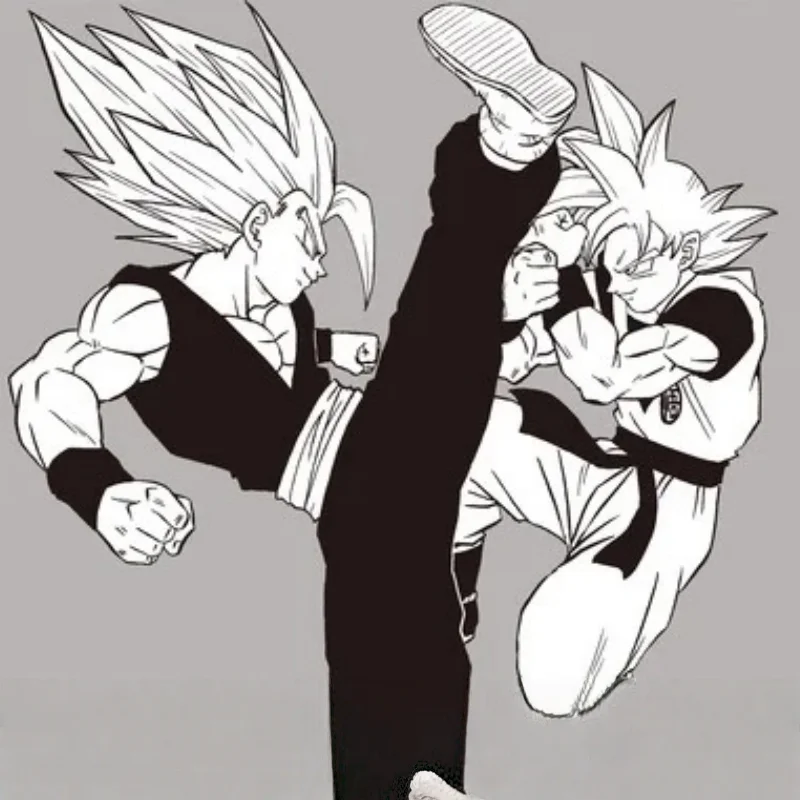 Dragon Ball Super Vol.24 Manga Original Edition by Akira Toriyama Toyotarou Japan HK Version Collectible Comic Book Anime Fans