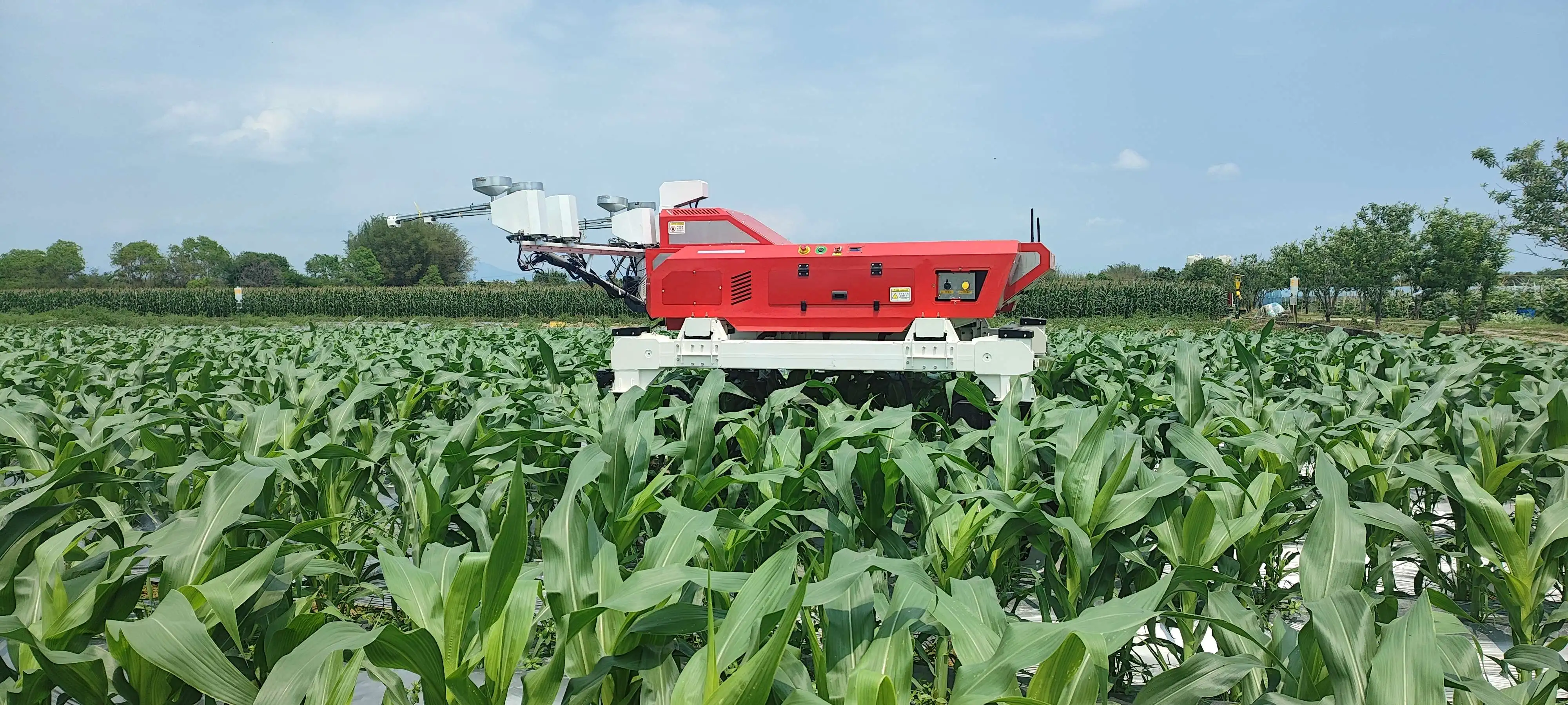 Customizable Remote-Controlled Agricultural Sprayer for Wheat Farming - Wheat Pest Control Equipment