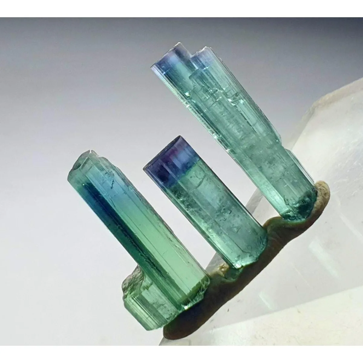 Brazilian Elbaite Crystal Points, 10g 5-15mm Natural Tones, Display Box for Collector Gift Box & Rock Collection