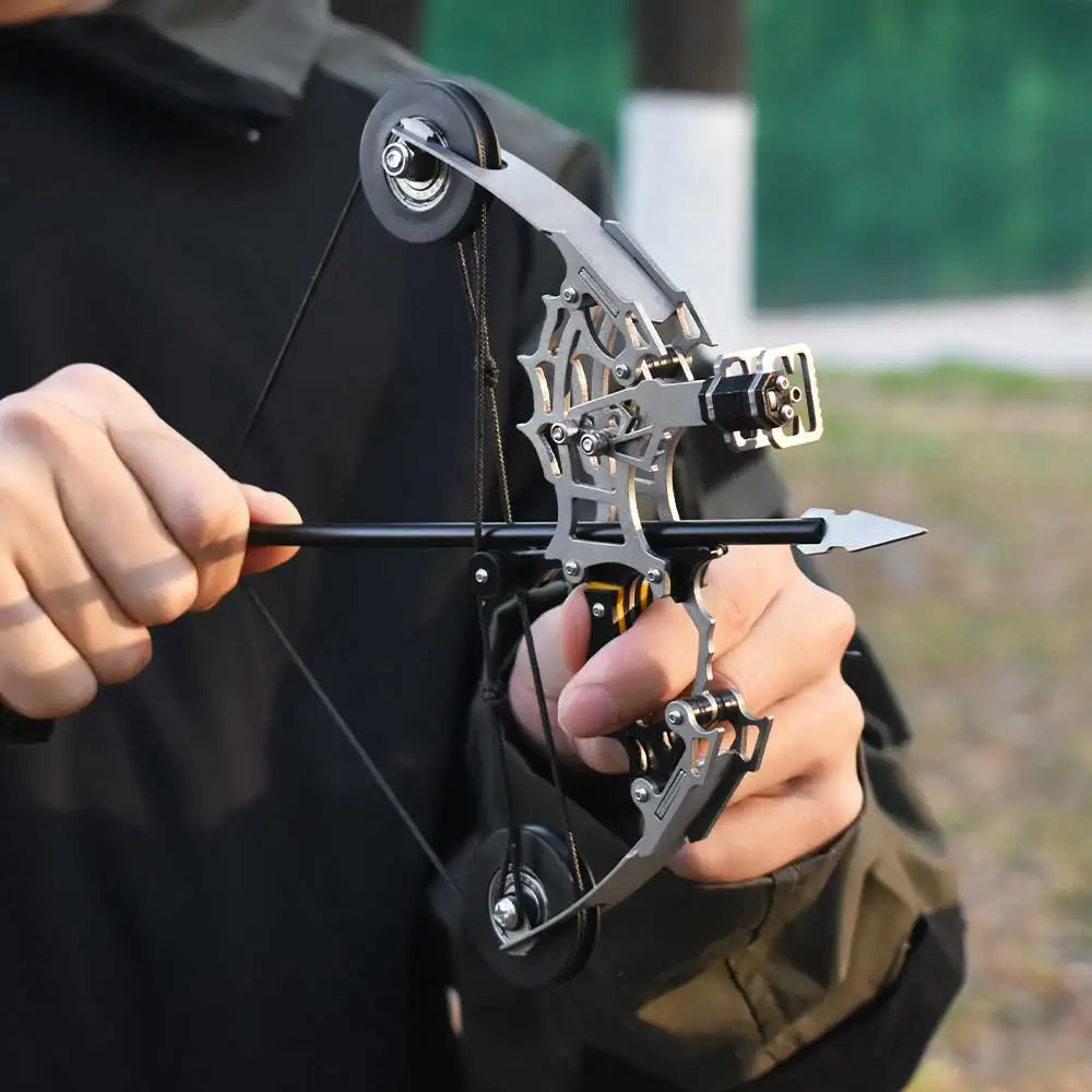 

Metal Mini Compound Bow Silver Compound Pulley Bow and Arrow Outdoor Hunting Shooting Entertainment Toy Portable Bow and Arrow