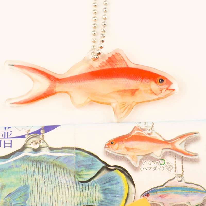 IKIMON Gashapon Toy Capsule Acrylic NTC Aquatic Fish Pendants Clownfish Keychian Gacha Ornaments