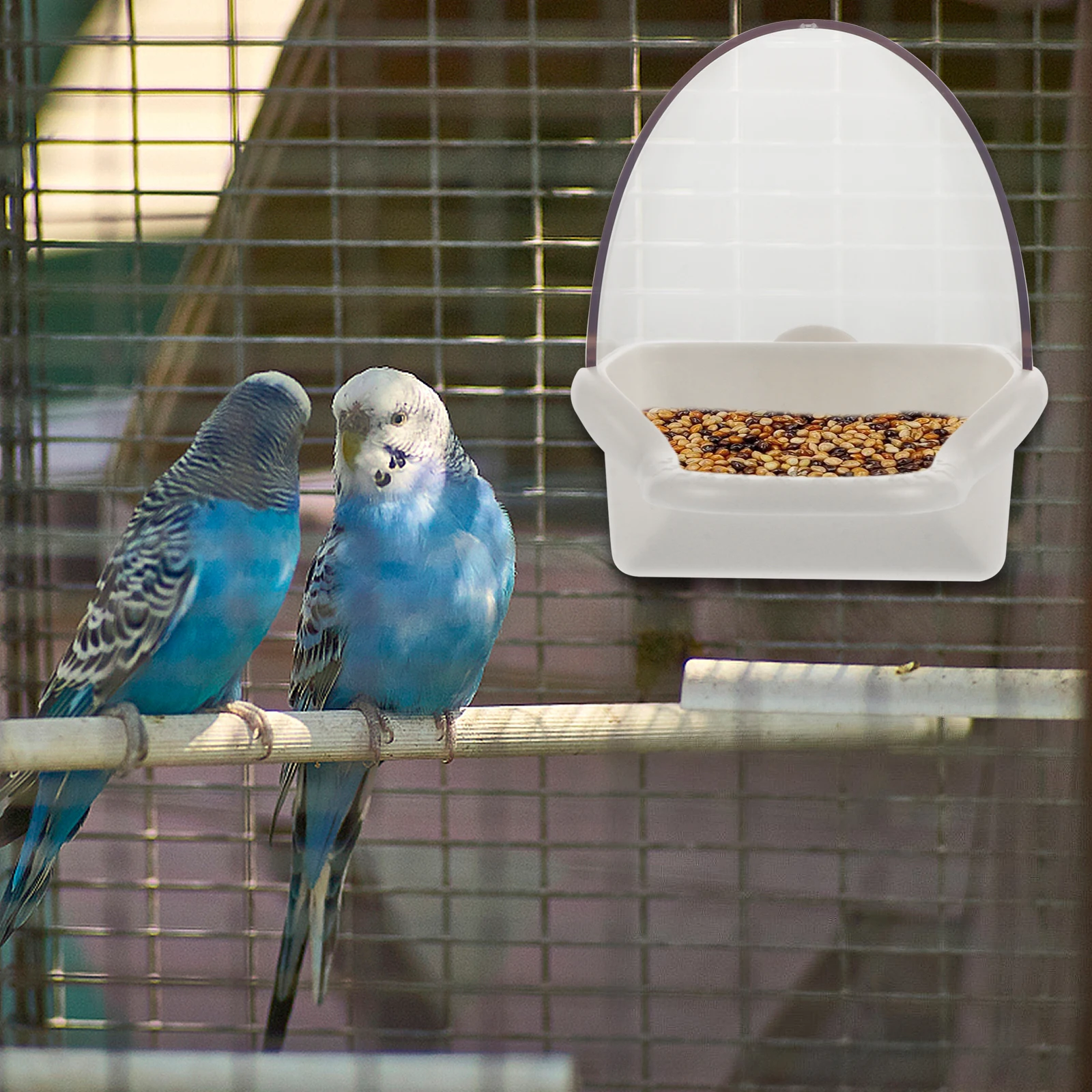 

Plastic Parrot Feeder Budgie Cockatiel Bird Supply Container Reusable Durable EcoFriendly WeatherResistant Creative Practical