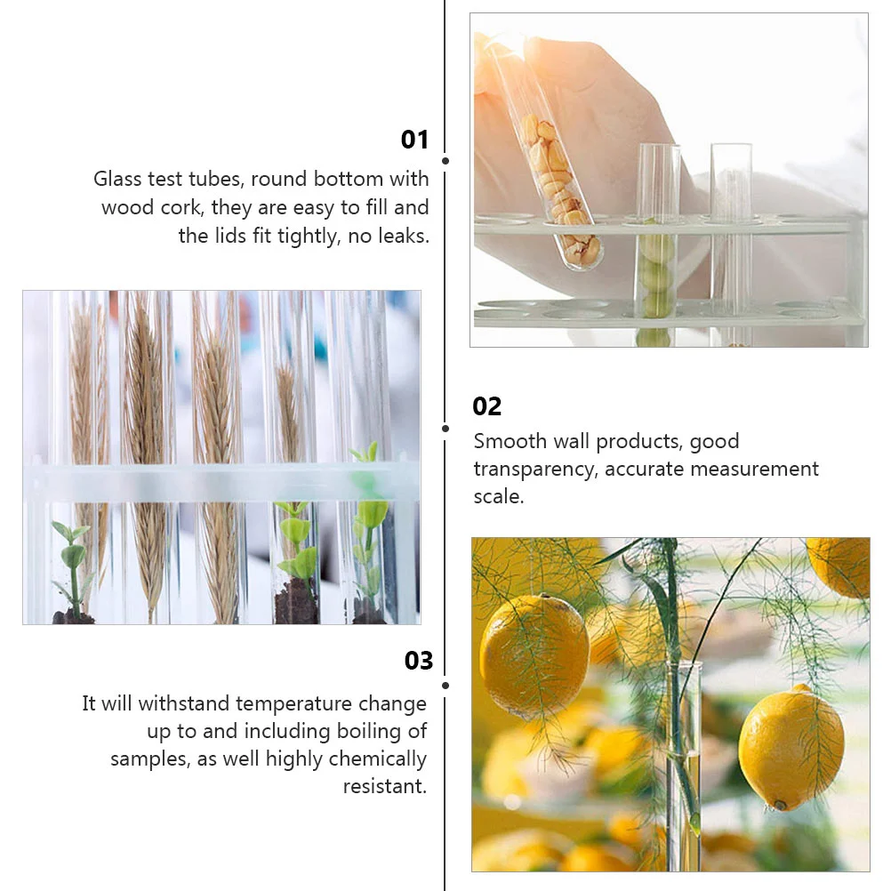 10 Pcs Bud Vases Test Tube Flask Clear Sample Storage Container Scrubber Wooden Laboratory Accessory Child Alcohol