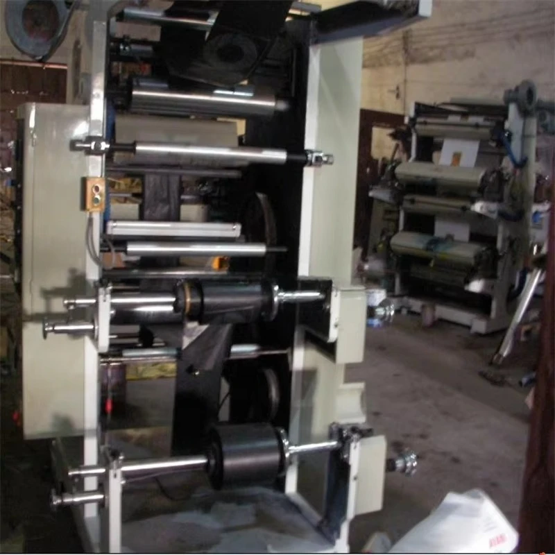 Automatic Wenzhou Manufacturer Double Color Flexo Printing Machine Price