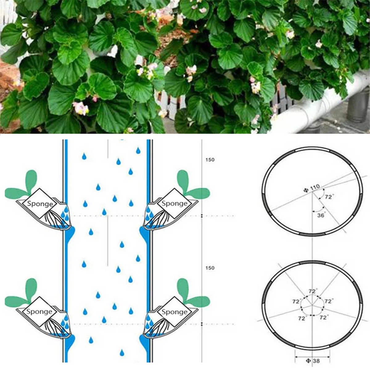 DIY hydroponic garden 10 Sets Hydroponic Soil-Free Growing System DIY Hydroponic Nursery Garden Kit