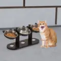 black stand