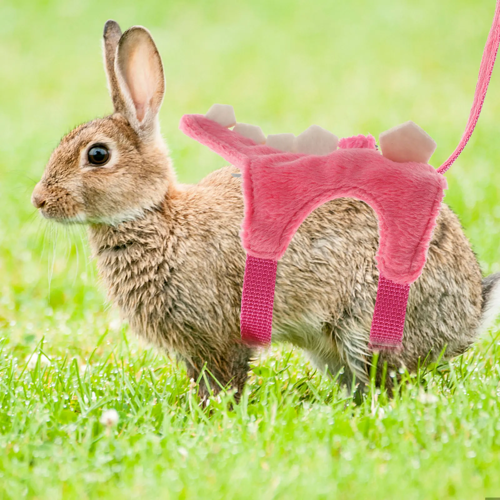 

Pet Traction Harness Leash Adjustable Lightweight Small Pet Walking Rope Outdoor Anti-Escaping Ferret Leash Kit Small