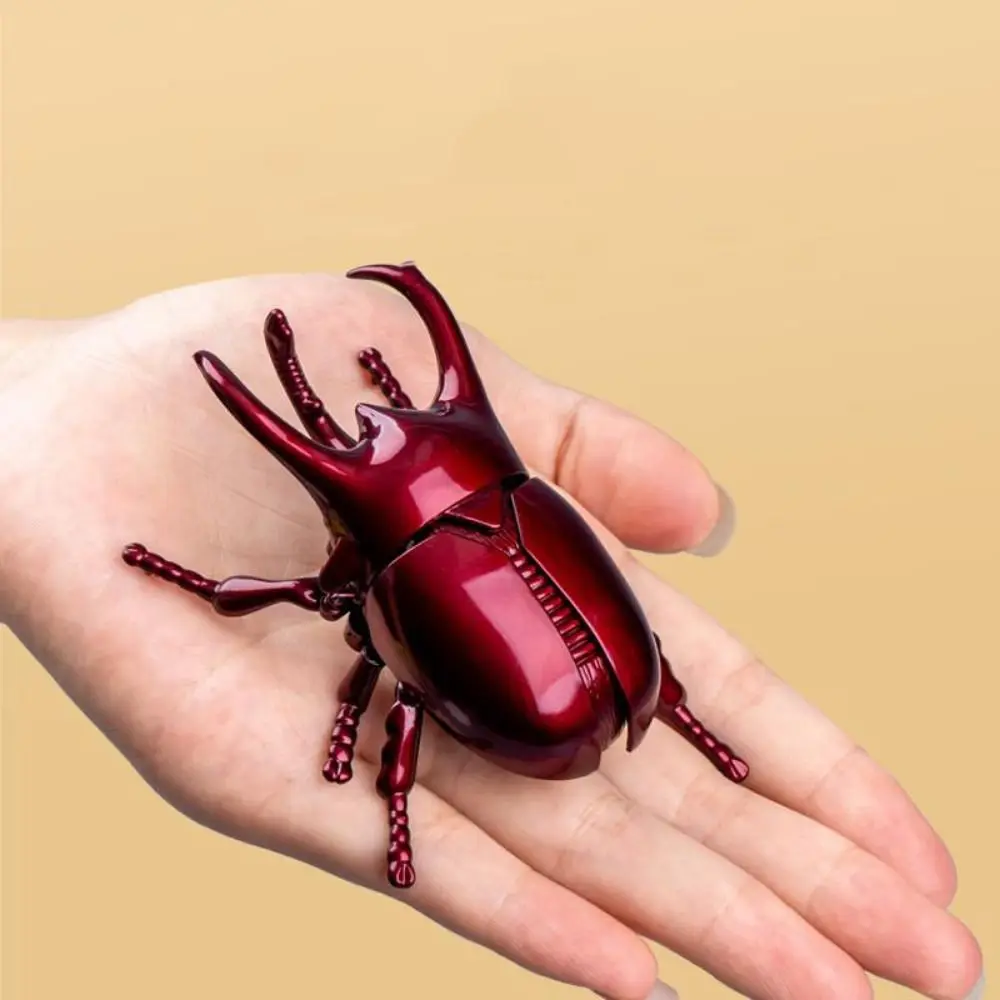 Uurwerkspeelgoed Opwindbare kever Speelgoed Realistisch wild insect Gesimuleerde kever Insectmodel Onderwijs Trick Props