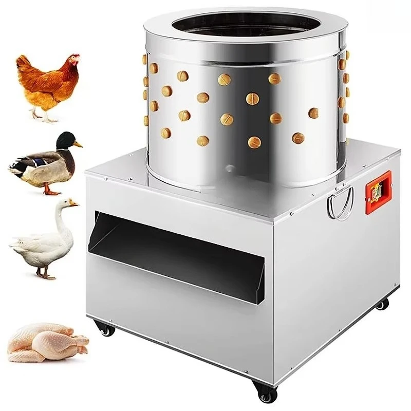 Fully automatic poultry and duck wire drawing machine, chicken feather wire drawing machine, 220V stainless steel